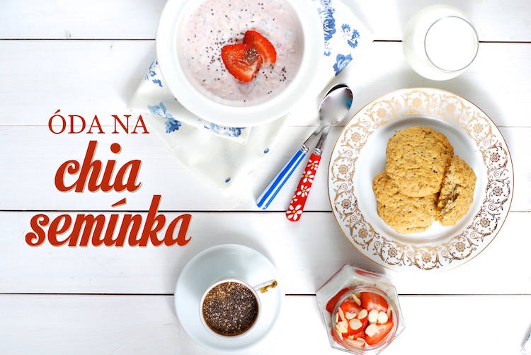 Chia Seminka Pouziti