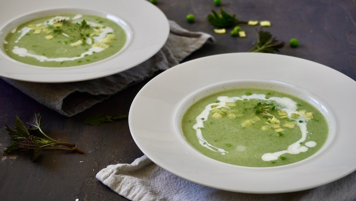 Zelená polévka z jarních bylin